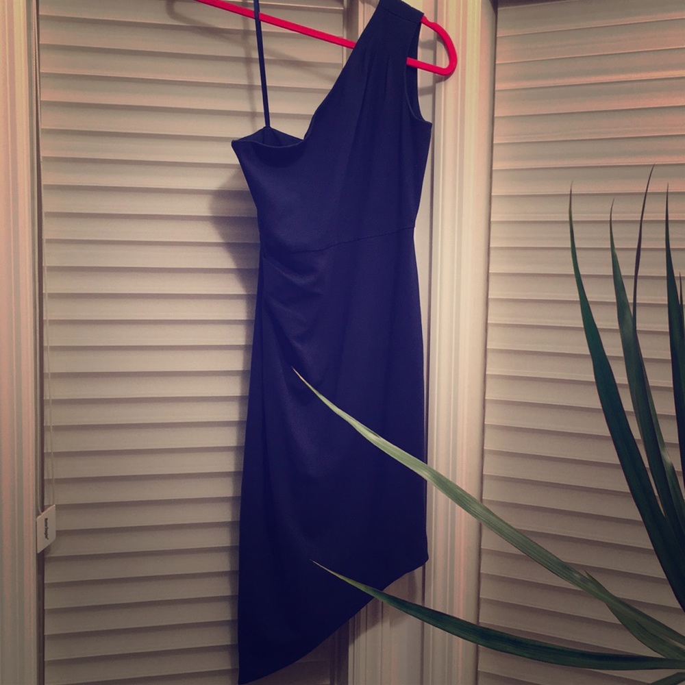 BCBG Max Azria Asymmetrical Dress